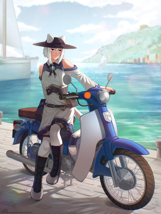 special super cub special super cub